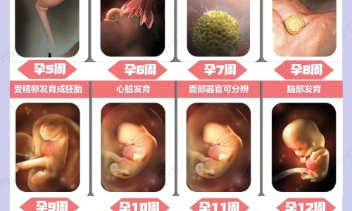 昆山哪个医院看骨科比较好-昆山哪个医院治疗鼻炎效果好网 - 昆山哪个妇科医院比较好,昆山哪个医院看骨科比较好